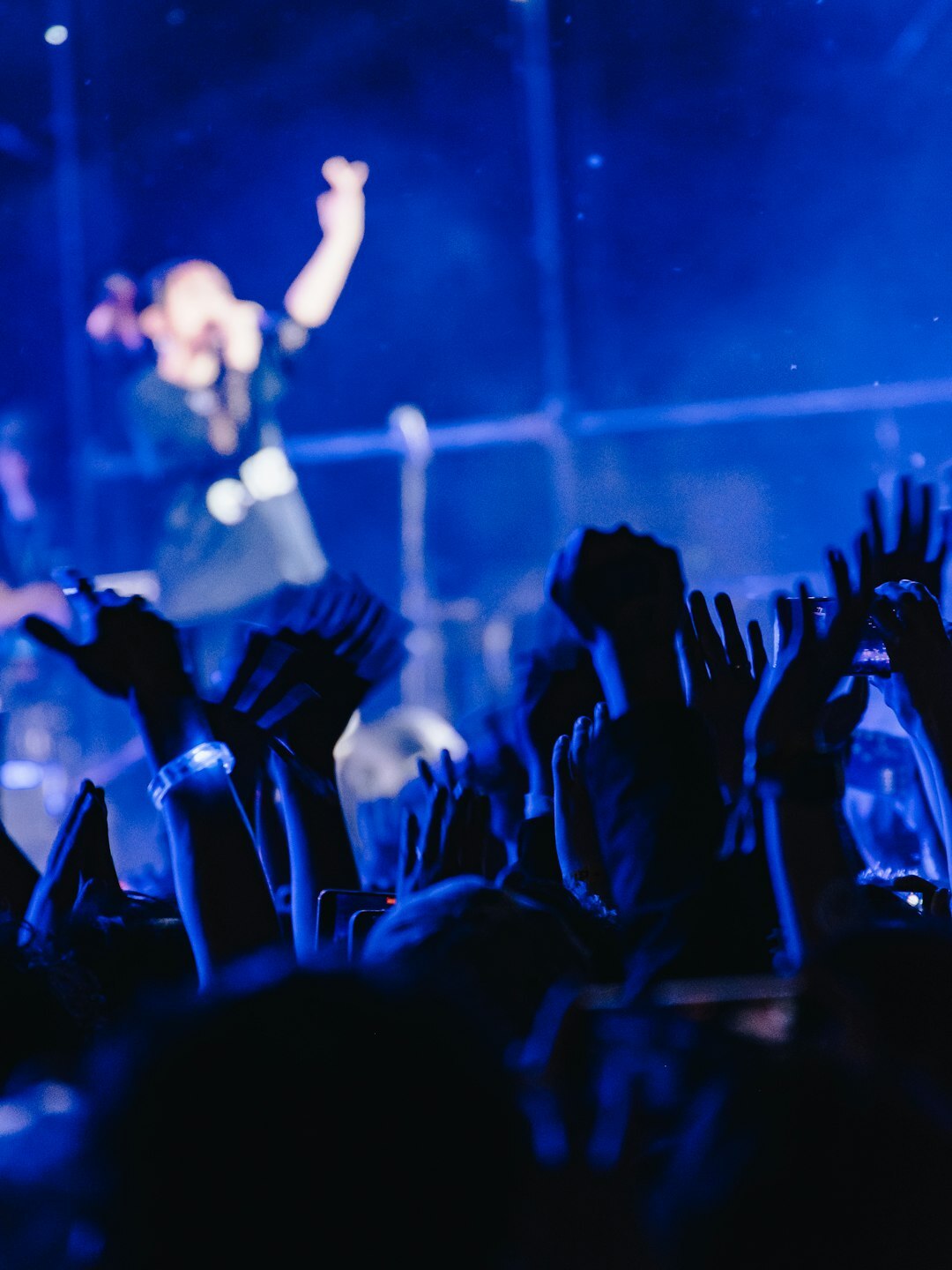 Audience clapping and cheering at a live entertainment concert